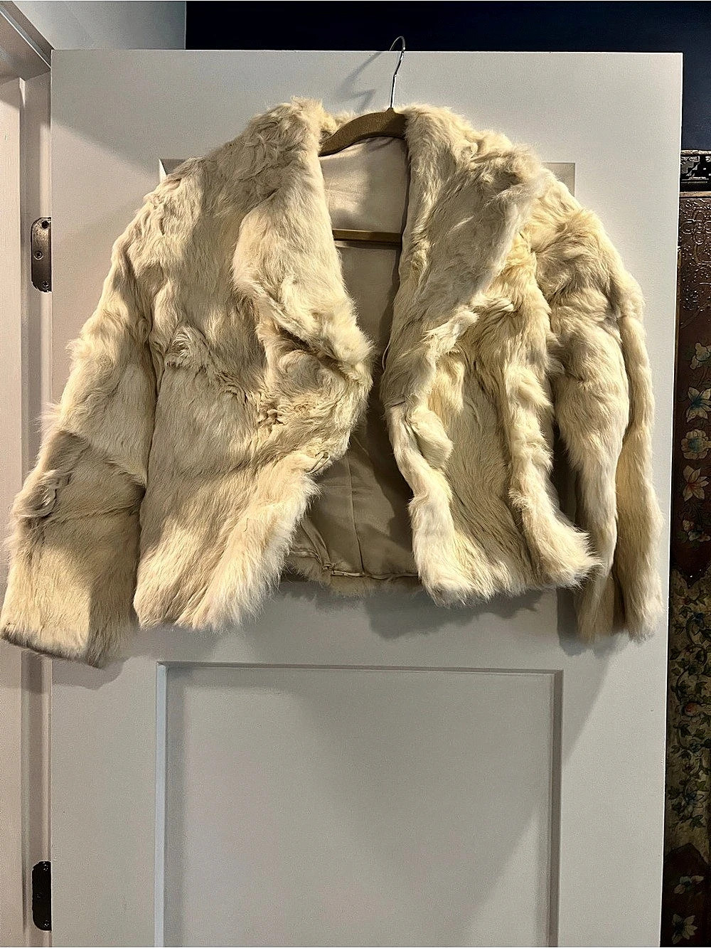 Rabbit Fur Teddy Jacket in White